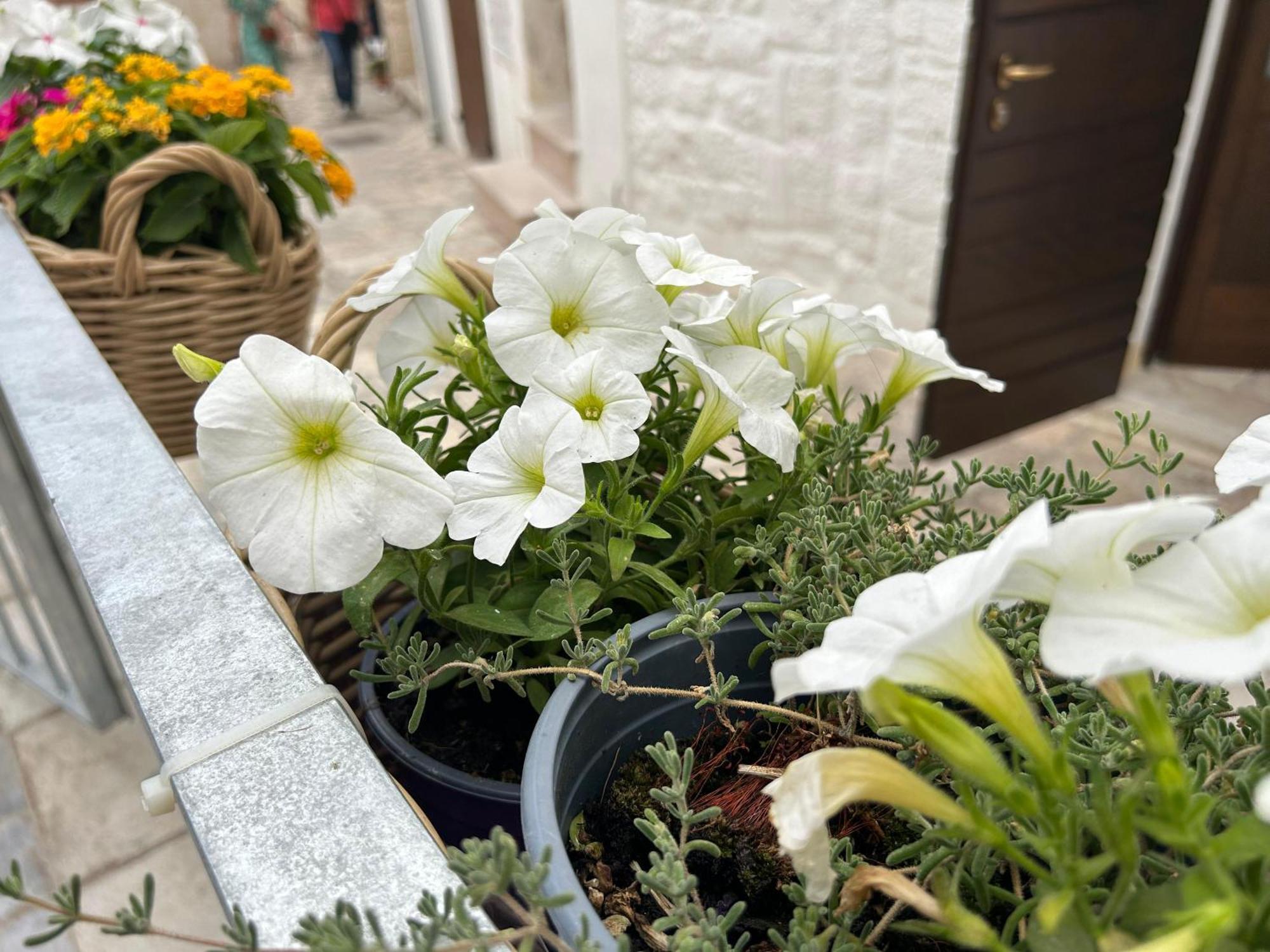 폴리나노 아마레 Trame Poesia Di Mare 2 B&B 외부 사진